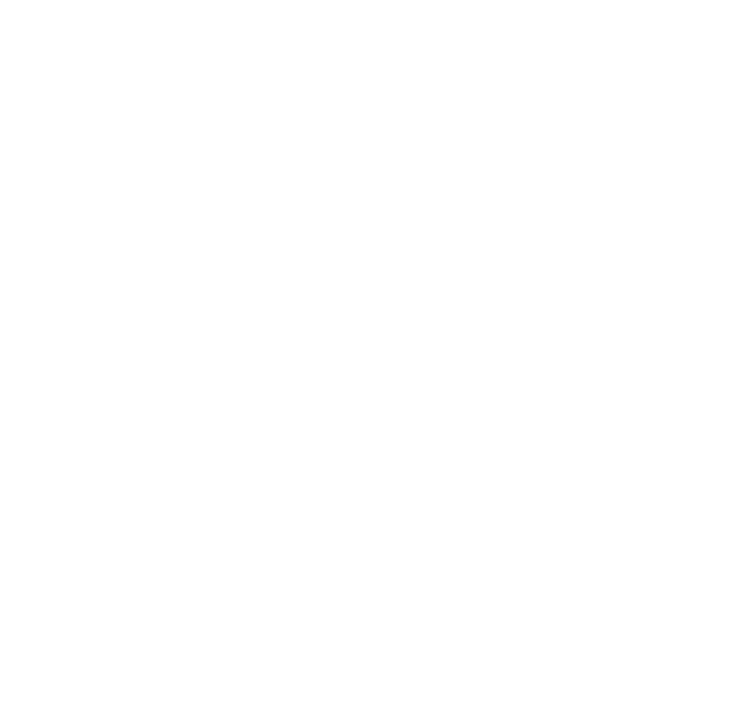 Zubr logo
